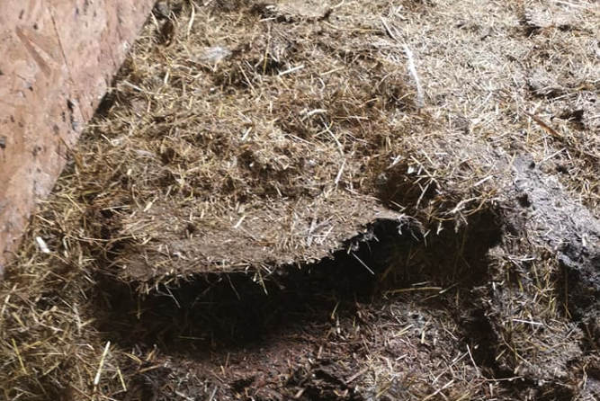 Clearing out the stable